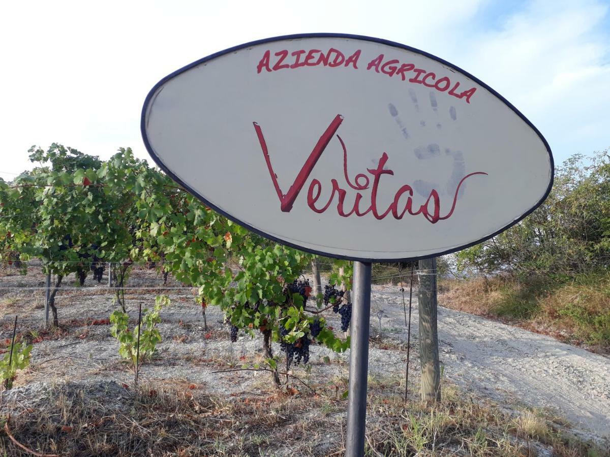 Agriturismo "Veritas" Bed & Wine Casaleggio Boiro Esterno foto